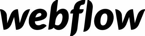Logo Webflow door Punt Digital Design Haaksbergen